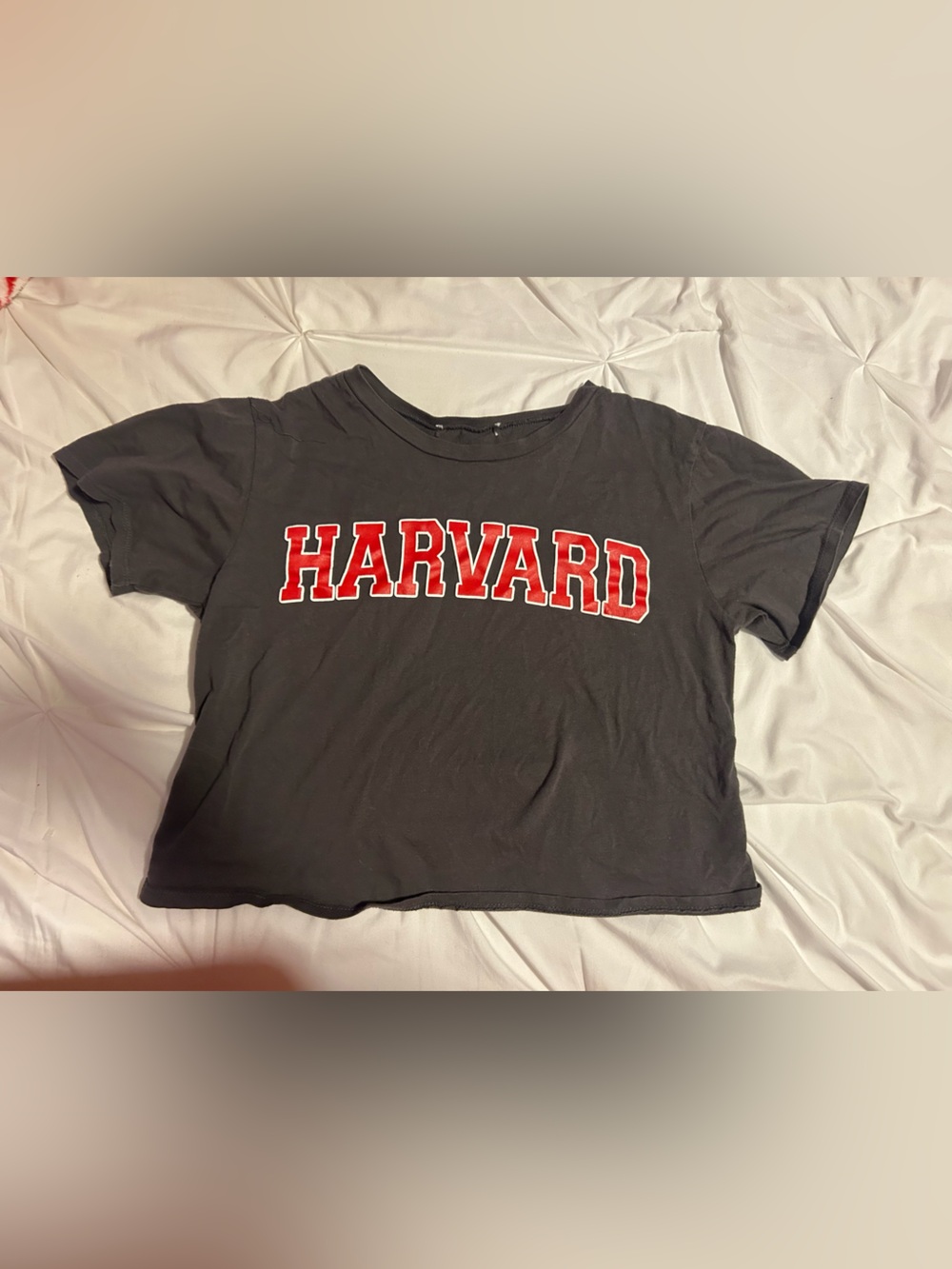 Harvard Gray Kids Cropped Tee with Red Lettering